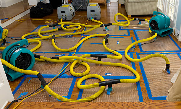 Professional Emergency Water Removal technician working in Waelder, TX